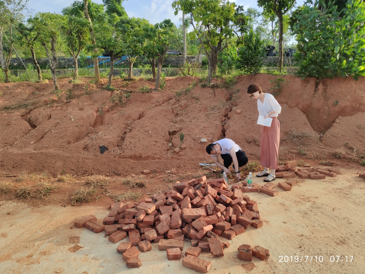 3354cc金沙集团(中国)有限公司-BinG百科